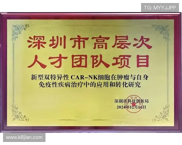 如何快速找到k8凯发官网入口,详细步骤帮助新手玩家轻松进入游戏世界